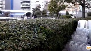 清纯可爱娃娃脸00后嫩妹,胸前小笼包很挺拔